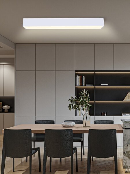 Immax NEO 07072-90 LED přisazené stropní svítidlo CANTO | 50W integrovaný LED zdroj | 4220lm | 3000-6000K