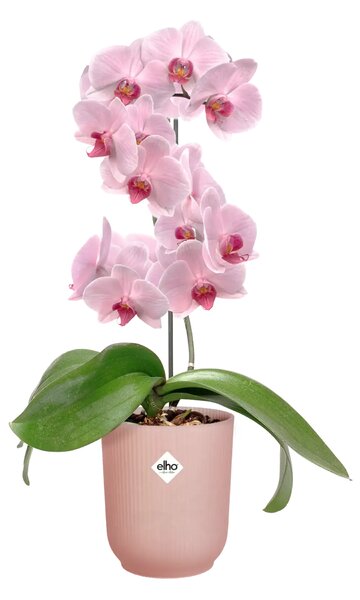 Elho plastový květináč Vibes Fold Orchid silky white Ø 13 cm