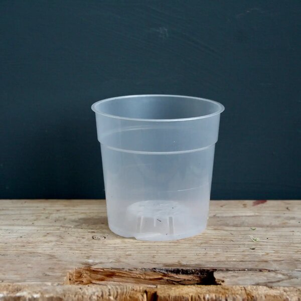 Plastový obal průhledný Ø 6 cm - Ø 15 cm - 6 cm