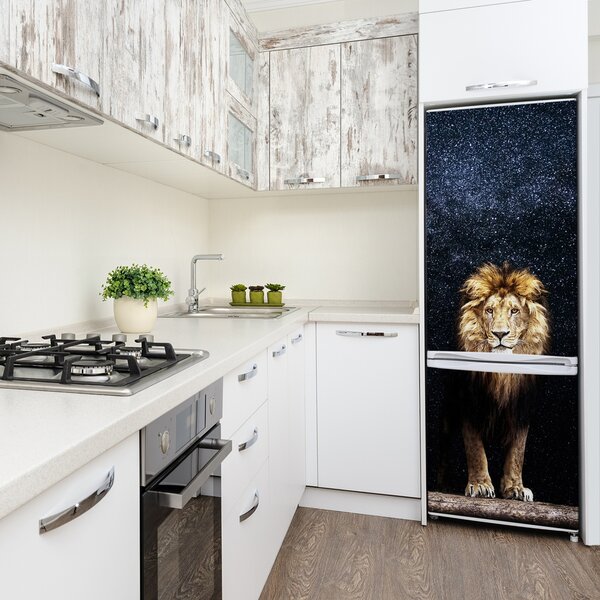 Foto nálepka na ledničku Lev na pozadí hvězd FridgeStick-70x190-f-125106847