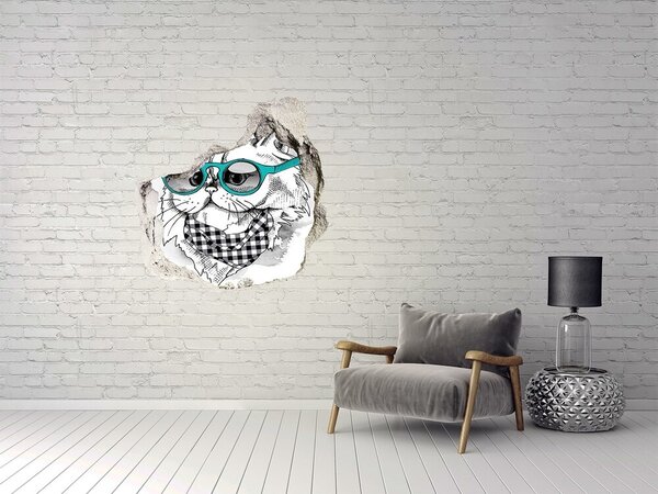 Díra 3D fototapeta nálepka Kočka v brýlích nd-p-121703839