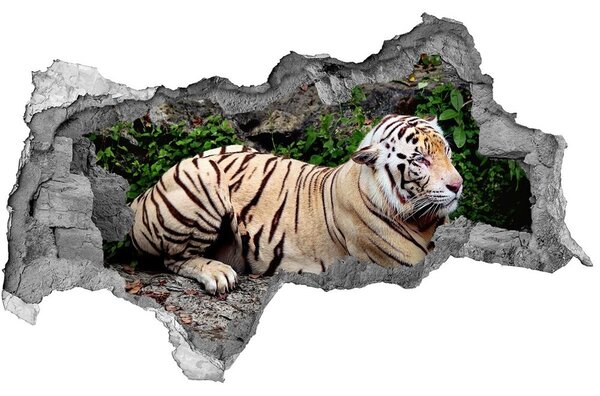 Fototapeta díra na zeď Tygr na skále nd-b-118161704