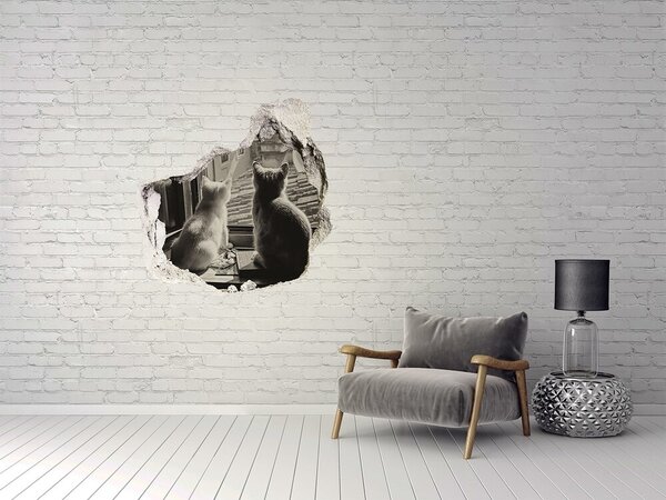 Díra 3D fototapeta nálepka Kočky u okna nd-p-86646592