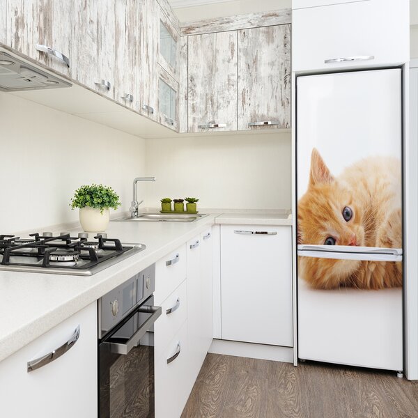 Nálepka fototapeta lednička Malá červená kočka FridgeStick-70x190-f-126034635