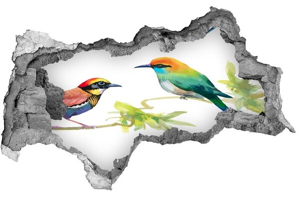 Díra 3D fototapeta na stěnu Egzotičtí ptáci nd-b-119482141