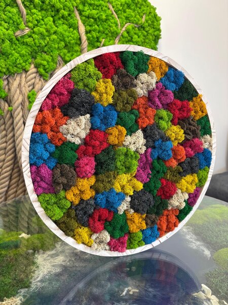 Mechový kruh - Rainbow Velikost rámu: 30cm