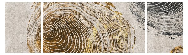 Obraz - Abstrakce kmenů (170x50 cm)