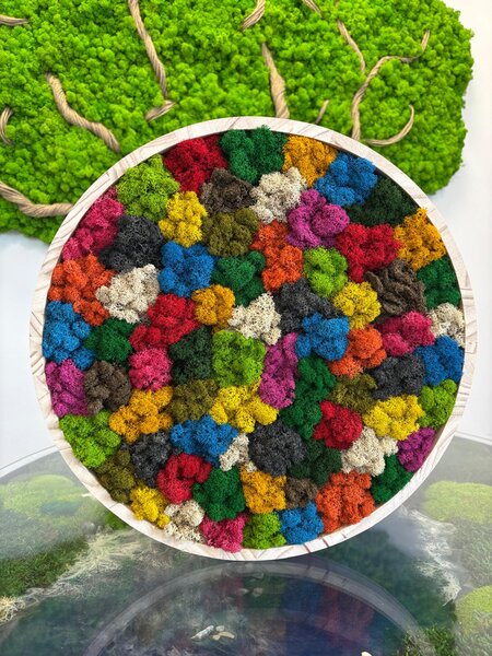 Mechový kruh - Rainbow Velikost rámu: 30cm