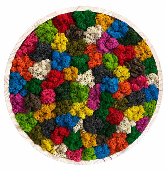 Mechový kruh - Rainbow Velikost rámu: 30cm