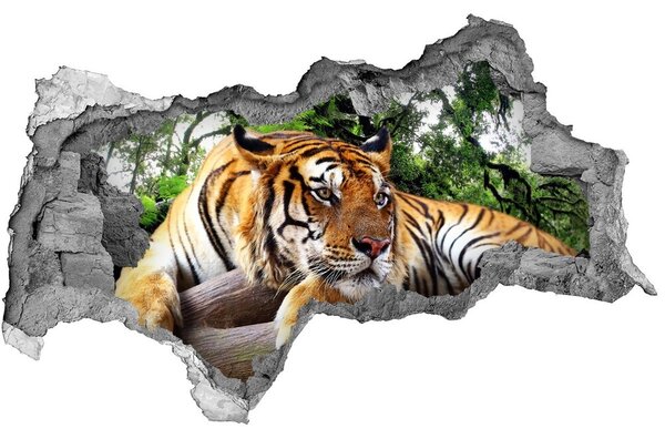 Díra 3D fototapeta na stěnu Tygr na skále nd-b-61968911