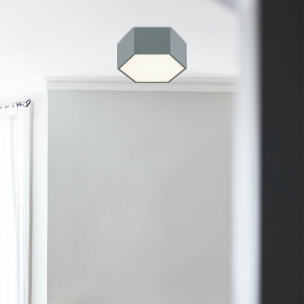 Argon 8784 - LED Stropní svítidlo LIBERO LED/12W/230V 3000K šedá