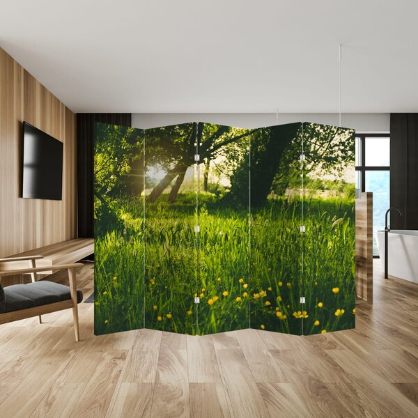 Paraván - Louka (210x170 cm)