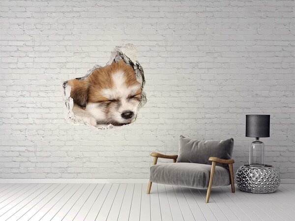 Díra 3D fototapeta nálepka Štěně Akity nd-p-49805861
