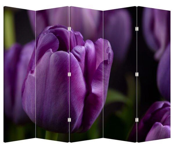 Paraván - Květ tulipánů (210x170 cm)