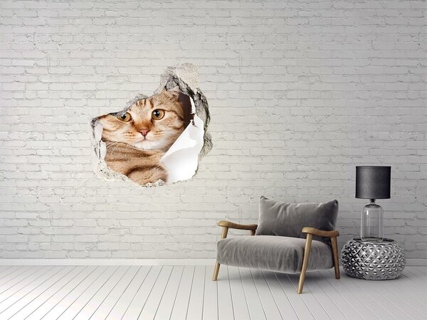 Díra 3D fototapeta na stěnu nálepka Kočka nd-p-52539512