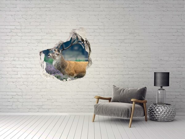 Fototapeta díra na zeď Jelen mezi levandulí nd-p-52700741