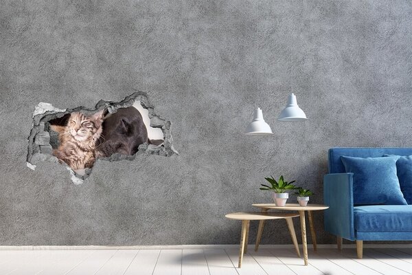 Díra 3D foto tapeta nálepka Pes s kočkou nd-b-91792125