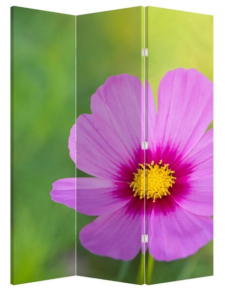 Paraván - Luční květina (126x170 cm)