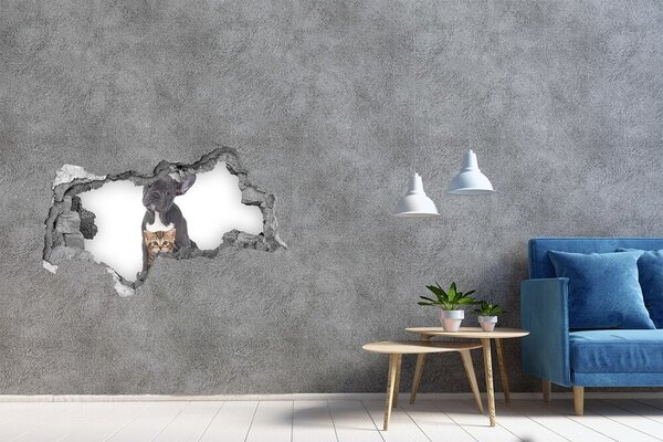 Díra 3D fototapeta na stěnu Pes a kočka nd-b-80558737