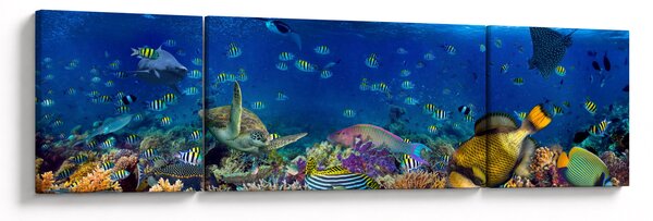 Obraz - Oceán (170x50 cm)