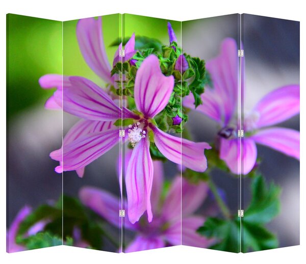 Paraván - Detail květiny (210x170 cm)