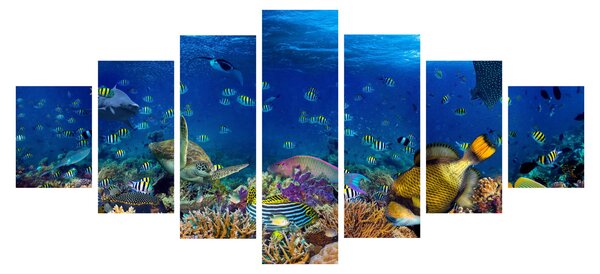 Obraz - Oceán (210x100 cm)