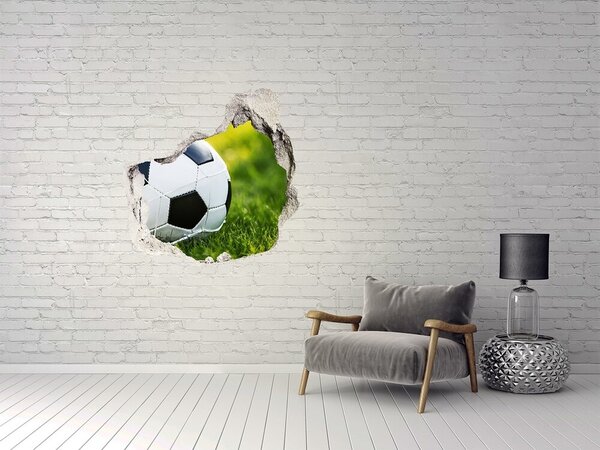 Fototapeta díra na zeď 3D Míč v brance nd-p-116246650