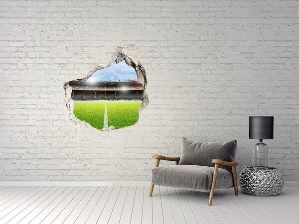Fototapeta díra na zeď 3D Míč na hřišti nd-p-116418833