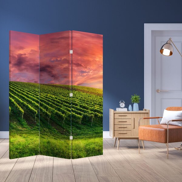 Paraván - Vinohrad s barevným nebem (126x170 cm)