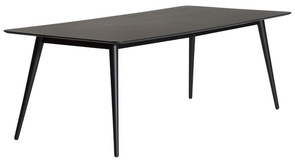​​​​​Dan-Form Černý dřevěný jídelní stůl DAN-FORM Pheno 220 x 100 cm
