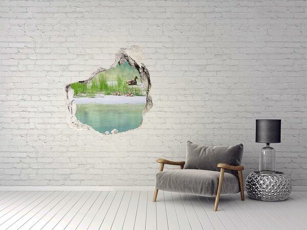 Díra 3D fototapeta nálepka Kachny nad vodou nd-p-118398690