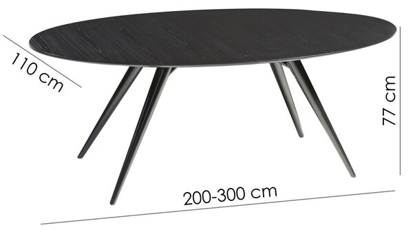 ​​​​​Dan-Form Černý dřevěný rozkládací stůl DAN-FORM Eclipse 200-300x110 cm