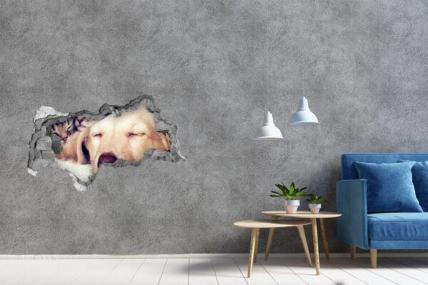 Díra 3D fototapeta na stěnu Štěně a kočky nd-b-67600578