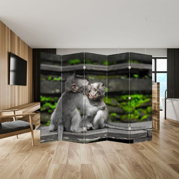 Paraván - Opička (210x170 cm)