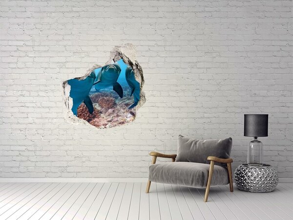 Fototapeta díra na zeď Delfíni nd-p-119968154