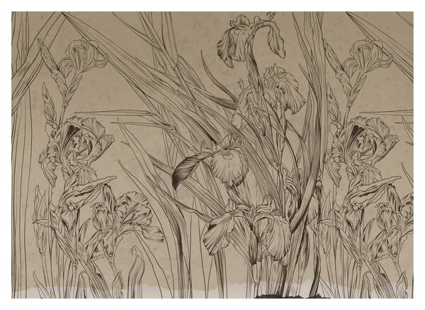 Obraz - Obrysy rostlin (70x50 cm)
