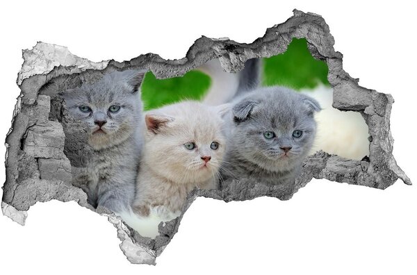 Díra 3D fototapeta nálepka Tři kočky na dece nd-b-112670236