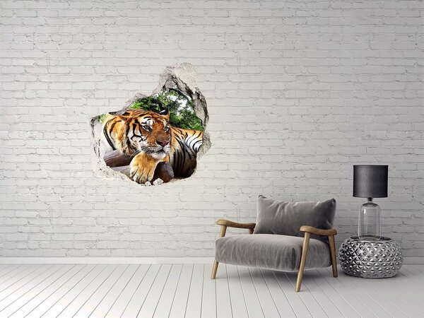 Díra 3D fototapeta na stěnu Tygr na skále nd-p-61968911