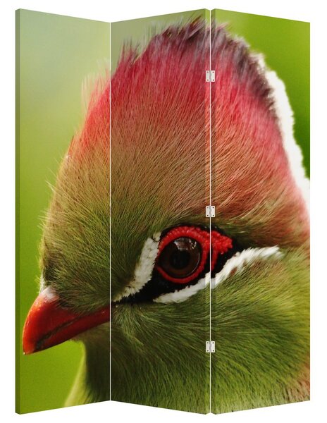 Paraván - Barevný pták (126x170 cm)