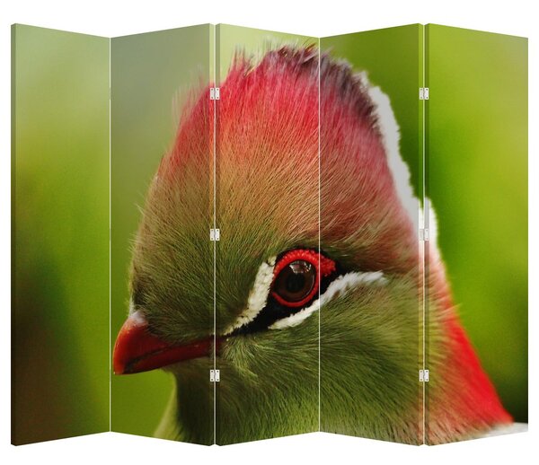 Paraván - Barevný pták (210x170 cm)