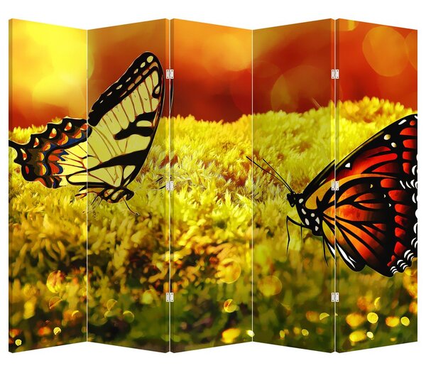 Paraván - Motýli (210x170 cm)
