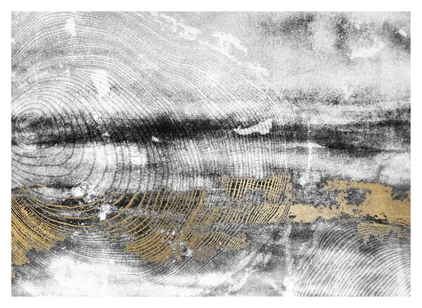 Obraz - Abstrakce (70x50 cm)