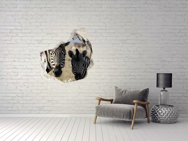 Díra 3D fototapeta nálepka Dvě zebry nd-p-70684470