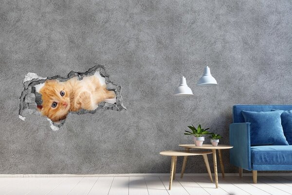 Díra 3D fototapeta nálepka Červená kočka nd-b-126034635