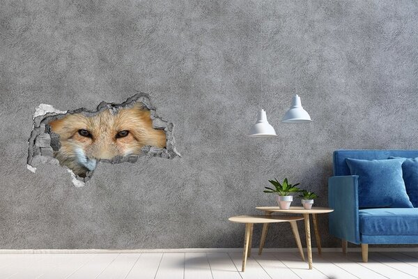 Díra 3D fototapeta na stěnu nálepka Liška nd-b-132631157