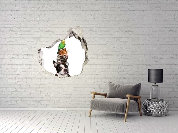 Díra 3D fototapeta na stěnu Zvířata nd-p-71830609