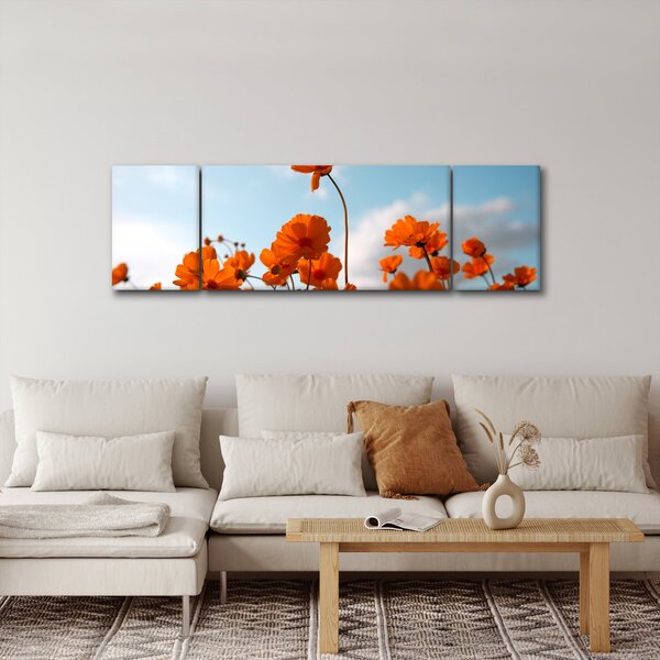 Obraz - Luční kvítí (170x50 cm)