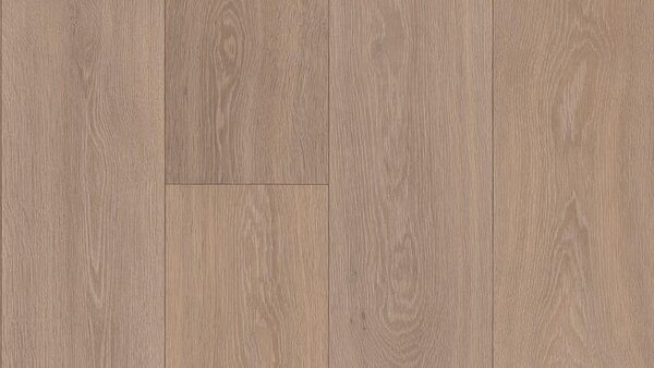 PVC podlaha Essentials (Iconik) 280T Ancares oak plank grey