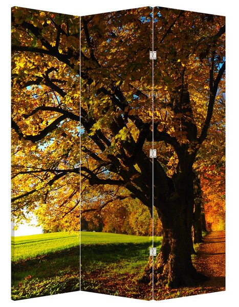 Paraván - Podzimní strom (126x170 cm)