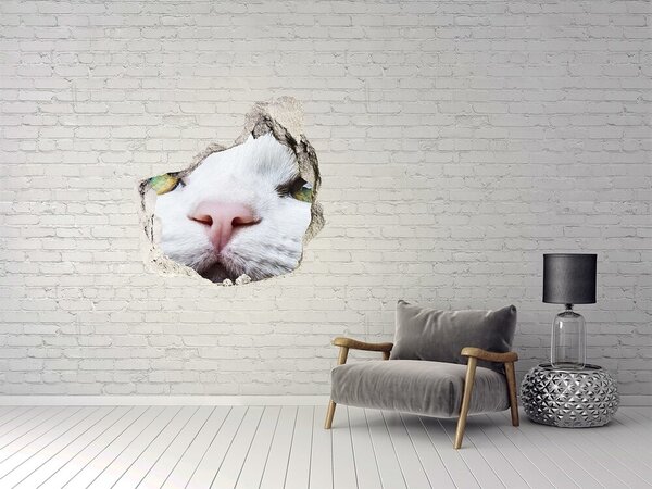 Díra 3D fototapeta nálepka Zelená kočičí oči nd-p-72425776